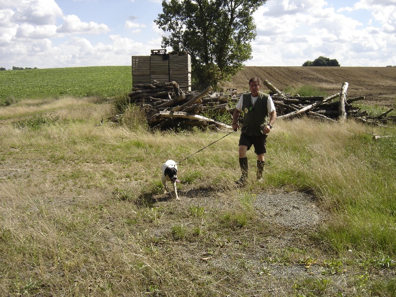 field belgique